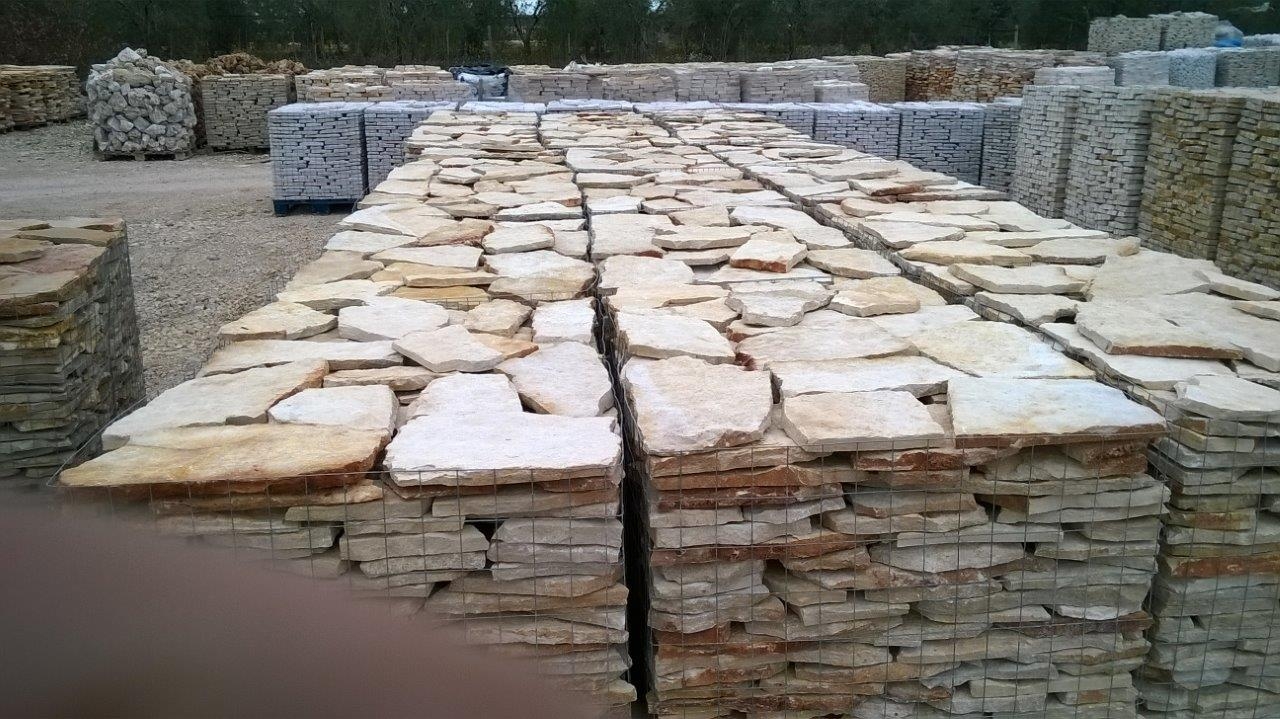 incertum bianca/gialla 11
