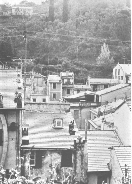 genoa 344
